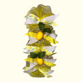 🍋 Burlap & Lemons Summer Swag Wreath - 22”
