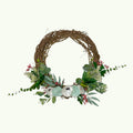 🌿Coastal Eucalyptus Grapevine Wreath with Coral Florals & Oyster Shells - 14”